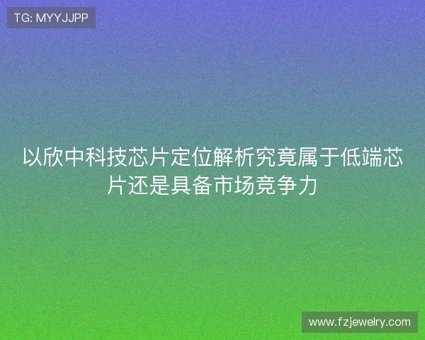 以欣中科技芯片定位解析究竟属于低端芯片还是具备市场竞争力